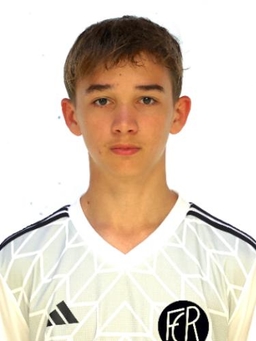 Avatar Bild für Henri Leonhardt
