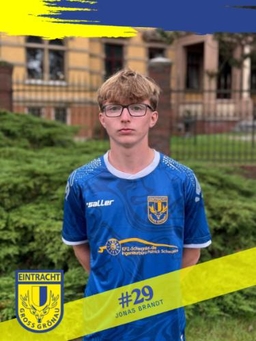 Avatar Bild für Jonas Brandt