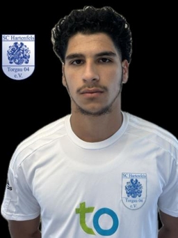 Avatar Bild für Jehad M. A. Abordane