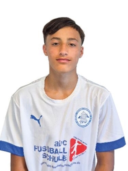 Avatar Bild für Arian Hrnjic