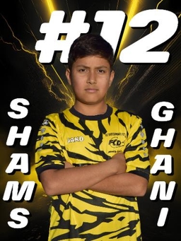 Avatar Bild für Shams Rahman Ghani