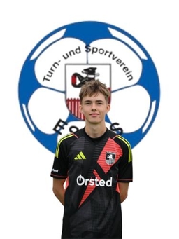 Avatar Bild für Thees Brandes