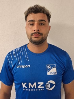Avatar Bild für Nasir Kazemi