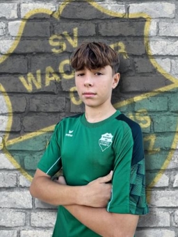 Avatar Bild für Noah Neugebauer