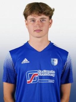 Avatar Bild für Noah Möller