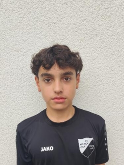 Avatar Bild für Elham Heidarie