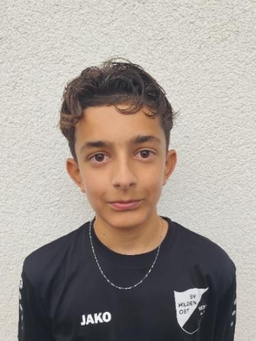 Avatar Bild für Ariz Ajvazi