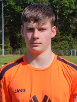 Avatar Bild für Noah David Sickinger