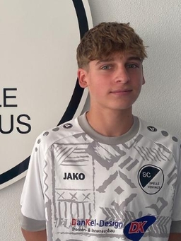 Avatar Bild für Henri Geiger