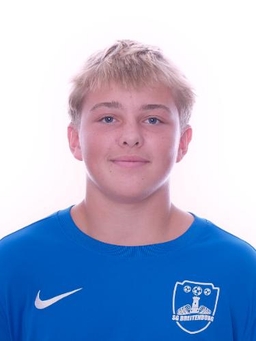 Avatar Bild für Louis Crone