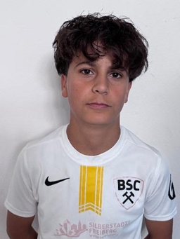 Avatar Bild für Dario Xheko