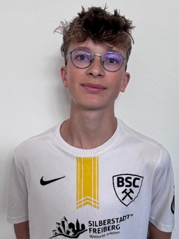 Avatar Bild für Theodor Grummt