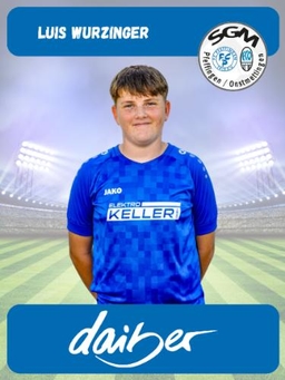 Avatar Bild für Luis Wurzinger