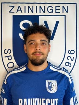 Avatar Bild für Tarik Mollahüseyinoglu