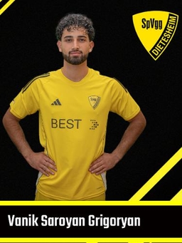 Avatar Bild für Vanik Saroyan Grigoryan