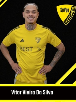 Avatar Bild für Vitor Vieira Da Silva