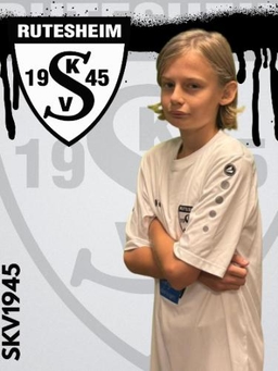 Avatar Bild für Lionel Schepanski