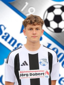 Avatar Bild für Nick Werner Hermann