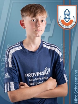 Avatar Bild für Nico Schneemann
