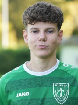 Avatar Bild für Hlib Pertsev