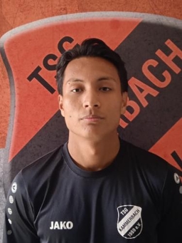 Avatar Bild für Ali Shafahi