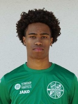 Avatar Bild für Arvin Krautz