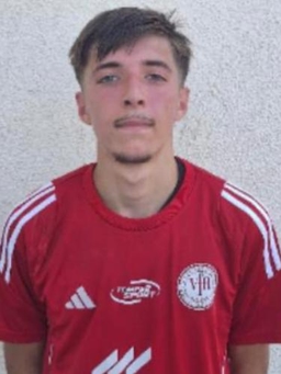 Avatar Bild für Dario Hetzel