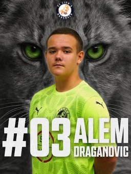 Avatar Bild für Alem Draganovic