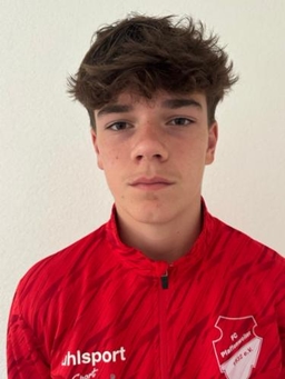 Avatar Bild für Milan Ilic