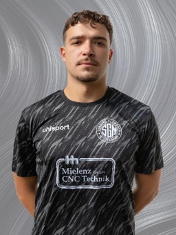 Avatar Bild für Luca Risimini