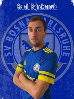 Avatar Bild für Senaid Bajrektarevic