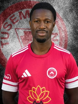 Avatar Bild für Modou Jaiteh
