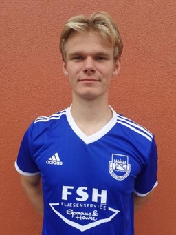 Avatar Bild für Henning Szumotalski