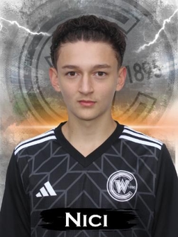 Avatar Bild für Nicolas Roeser