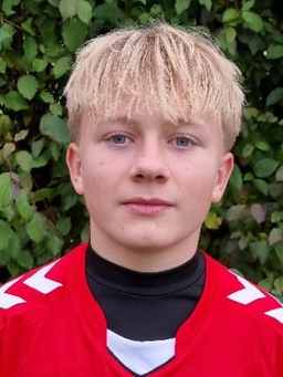 Avatar Bild für Luis Ovens