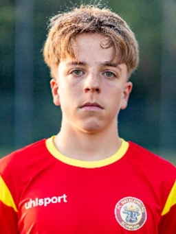 Avatar Bild für Noah Silber