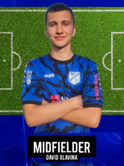 Avatar Bild für David Glavina