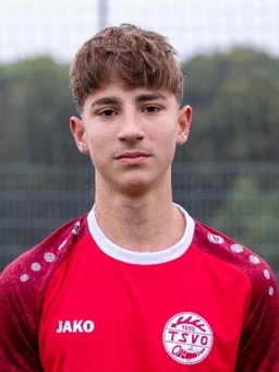 Avatar Bild für Vinko David Spajic