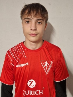 Avatar Bild für Tommy Seile