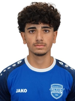 Avatar Bild für Arman Hamkar