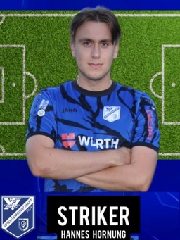 Avatar Bild für Hannes Hornung