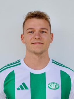 Avatar Bild für Luca Schmermas
