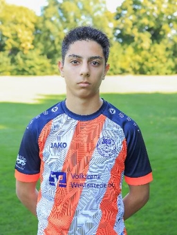 Avatar Bild für Taha Rostami