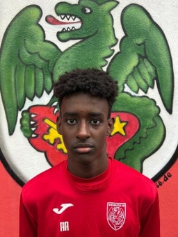 Avatar Bild für Ali Abdirahim