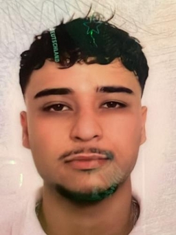 Avatar Bild für Amir Sultani