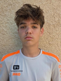 Avatar Bild für Dario Neumann