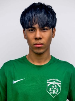Avatar Bild für Amir Hosain Kholoosi