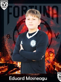 Avatar Bild für Eduard Mosneagu