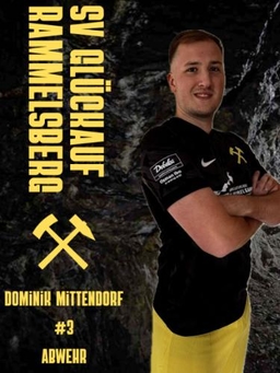 Avatar Bild für Dominik Mittendorf
