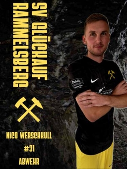 Avatar Bild für Nico Werschkull
